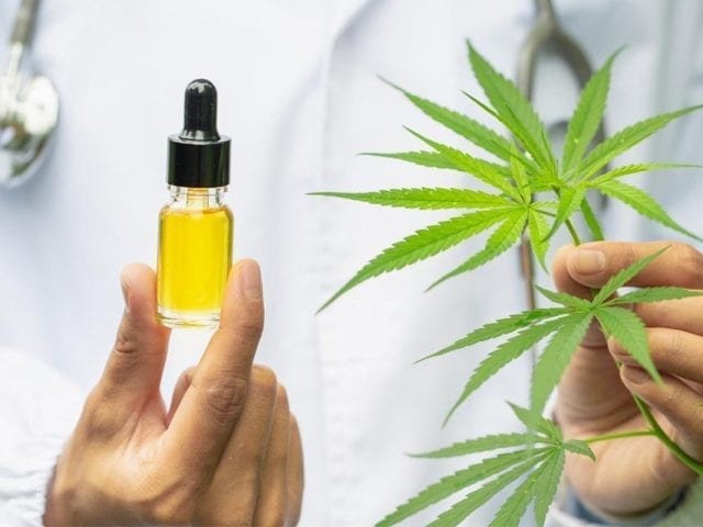 CBD’s Impact on Bone Health